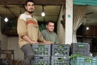 Mercato ortofrutticolo - Beirut, Libano, 2008