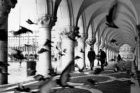 Venezia - 2011 [pubblicata su PhotoVogue]