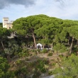 Fotografia di Matrimonio con Drone