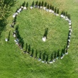 Fotografia di Matrimonio con Drone autorizzato